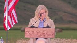 Liz Cheney vows to fight on against Donald Trump News Clip
