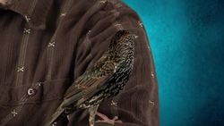 Invasive Species The Story of Bunny Instructional Video