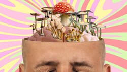 This Is Your Brain On Shrooms Instructional Video