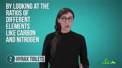 Shrimp Treadmills and 5 Other Odd Research Projects Instructional Video