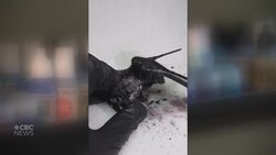 Injured firefighter finds new passion in miniature hobby Instructional Video