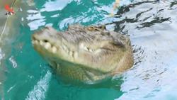 Surviving a Cage of Death! Instructional Video