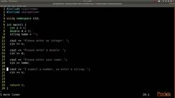 C++ Standard Template Library in Practice - Console I/O - Read Input Instructional Video