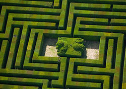 Networks: Labyrinths and Mazes Instructional Video