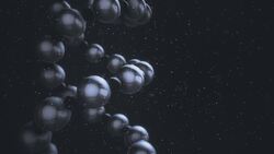 I WONDER - Are There Polymers Found In Nature? Instructional Video