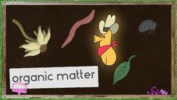 Soil Is Alive! Instructional Video