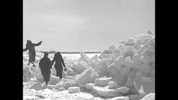 Ice floes pile up on beach at Cape Cod, MA News Clip