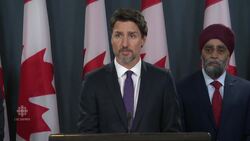 'The plane was shot down by an Iranian surface to air missile' News Clip