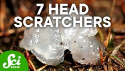 7 Chilling Mysteries Still Unsolved by Scientists Instructional Video