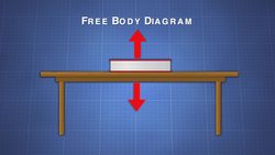 Free Body Diagram Instructional Video