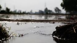 Watering in the field Stock Footage