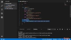 Learn Go in 3 Hours - Switch Statements Instructional Video