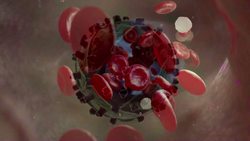How do viruses replicate? Instructional Video