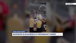Made in New Jersey: A Floral Haven at Moonshot Farm in Mercer County News Clip