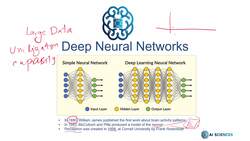 Data Science and Machine Learning (Theory and Projects) A to Z - Deep Neural Networks and Deep Learning Basics: Introduction to Artificial Neural Networks Instructional Video