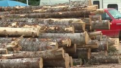 N.S. MLAs return to Province House for fall sitting News Clip