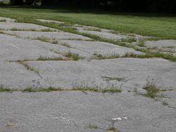 Comparing Biodiversity: From Parking Lots to Forests Instructional Video