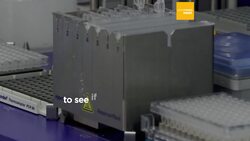 Danish scientists develop an early blood test that could uncover the real cause of a miscarriage News Clip