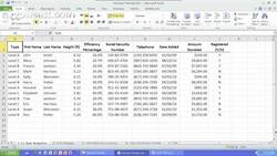 How to Move Quickly within a Worksheet Instructional Video