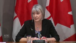 Canadians can expect social distancing to last months, health minister says News Clip