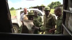 VOICED : The simple 'seedballs' giving Kenya's forests a helping hand News Clip