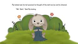 Bunnysitting Instructional Video