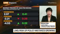OCBC Selena Ling on Central Banks, China News Clip