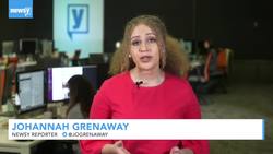 Mattel Unveils 4 New Barbie Dolls Showcasing Diversity News Clip