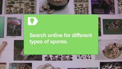 How to Grow Mushrooms Instructional Video