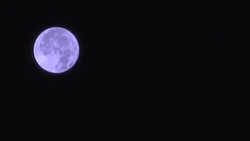Harvest Moon over Seattle Stock Footage