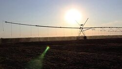 Center pivot irrigation at sunset 1 Stock Footage