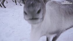 Life in the Arctic: how climate change is killing a culture Instructional Video