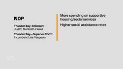 How Thunder Bay, Ont., election candidates plan to address homelessness and addictions News Clip