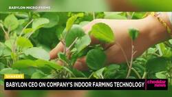 Vertical Farming Startup Babylon CEO Discusses Benefits of Indoor Farming Technology News Clip