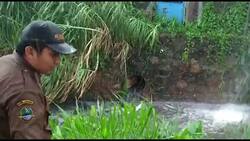 Saving Indonesia's Citarum River: The Environmental Impact of Industrialization Instructional Video