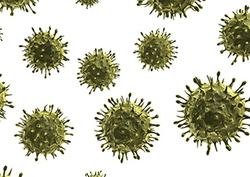 Factpack: Viruses Instructional Video