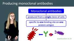 Producing Monoclonal Antibodies: An Overview Instructional Video