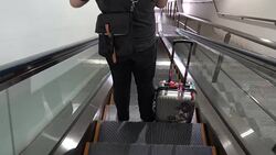 Close-up view of young stylish man with suitcase standing on the escalator. Feet of attractive man on the airport Stock Footage