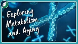 Exploring Metabolism and Aging | Compilation Instructional Video