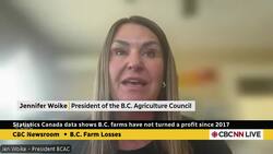 B.C. farmers have not turned a profit since 2017: new report News Clip