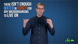 Honey: Bacteria's Worst Enemy Instructional Video