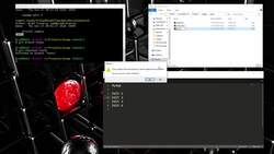 The Full Stack Web Development - Branches and Merging Instructional Video