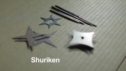 3 Facts about the Shikomizue in Ninjutsu Instructional Video