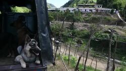 CLEAN : Ex-FARC guerillas forced to relocate after series of deadly attacks News Clip