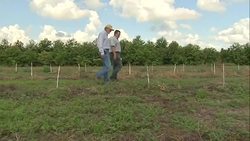 Sustainable Farming: Common ways farmers protect their crops Instructional Video