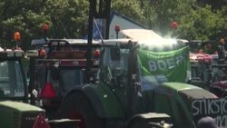 CLEAN : Dutch farmers protest livestock cuts to curb nitrogen News Clip