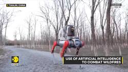 Quadruped robot engages in forest firefighting drill in China Instructional Video