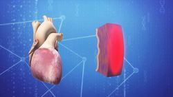 CDC says young men should consider waiting longer between Pfizer and Moderna doses to reduce risk of heart inflammation Instructional Video