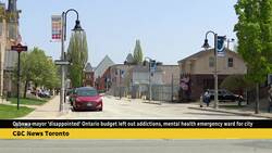 Oshawa mayor reignites call for support from Ontario government after declaring public health crisis News Clip