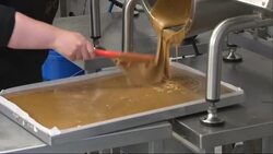 Chocolate and Fudge Making factory News Clip